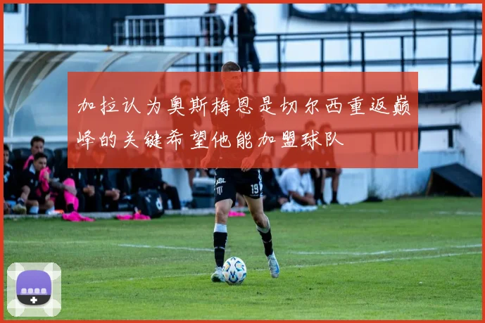 加拉认为奥斯梅恩是切尔西重返巅峰的关键希望他能加盟球队